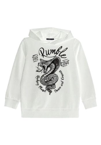 Boys-Sweatshirt 30